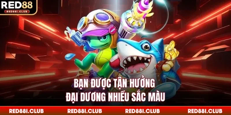 Bạn được tận hưởng đại dương nhiều sắc màu