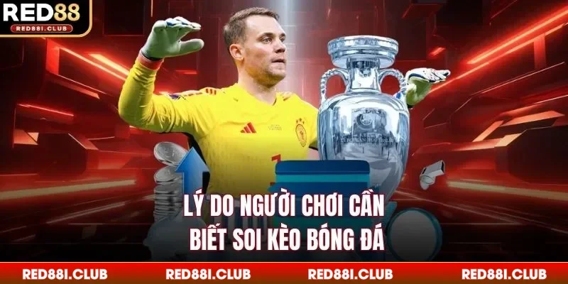 Lý do người chơi cần biết soi kèo bóng đá