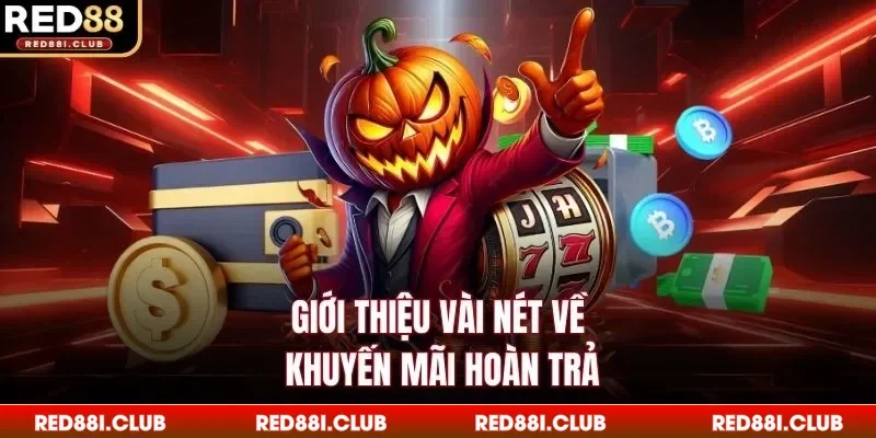 Giới thiệu vài nét về khuyến mãi hoàn trả